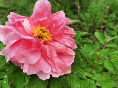 -聚味轩酒楼(东升街店)