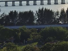 -宝安西湾红树林湿地公园