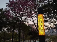 -红花山公园