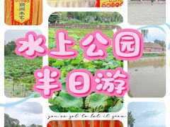 -天津水上公园