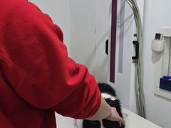 -申普宠物医院·眼科·心内科·影像科(普陀分院)
