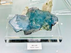 -中国地质博物馆