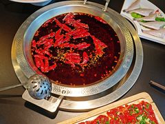 -李掌柜鲜菜火锅(移民广场店)