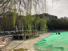 -莲湖公园