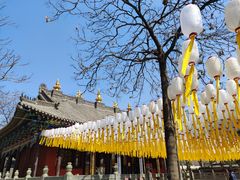 -护国法轮寺