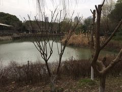 -玉山公园