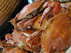 -大锅强·蒸海鲜青岛菜(吾悦广场店)