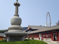 -天津大悲禅院