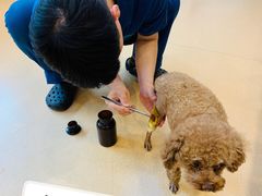 -瑞派·关忠动物医院(国瑞店)