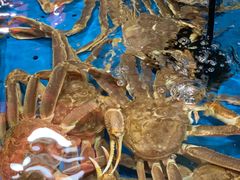 -徐记海鲜(汉城湖|太奥店)