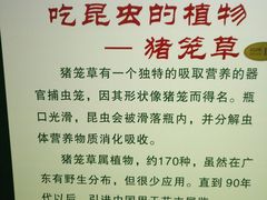 -上海昆虫博物馆