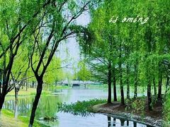 -尚贤河湿地