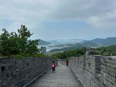 -黄贤森林公园