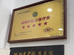 -派美特宠物医院·核磁CT·骨科肿瘤·疑难转诊(沈农禾丰店)