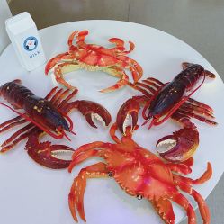 -BabyMonster小怪兽亲子派对·餐厅乐园(金月湾店)