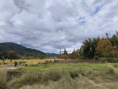 -塔川景区