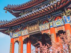 -梅花山(明孝陵内)
