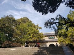 -灵谷景区