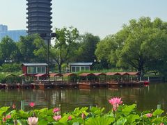 -西海子公园