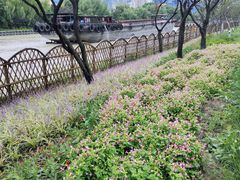 -枫桥景区