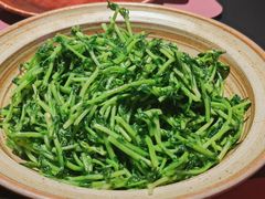 -纯阳•六两酒馆