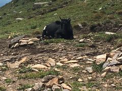 -灵山