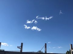 -姚记炒肝店(鼓楼店)