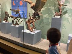 -陕西自然博物馆