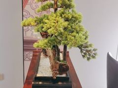 -顺峰(农展馆店)