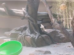 -宁波野生动物园