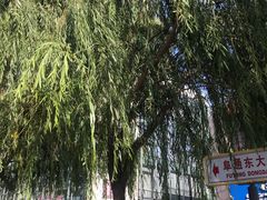 -香浙汇(望京店)