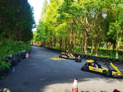 -东平国家森林公园
