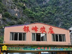 -银峰农庄·特色烧鸡·鲜无花果浸鸡