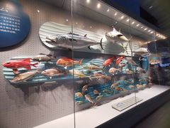 -贝林大翅鲸简餐厅(国家海洋博物馆店)