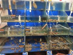 -雅逸居海鲜小厨