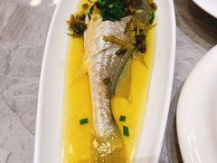-老绍兴养和饭店(向阳不夜城店)