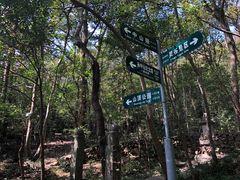 -紫金山山顶公园