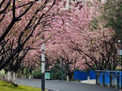 -苏州河梦清园环保主题公园