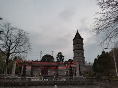 -荔枝红五号农庄