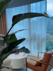 点击看大图 -洁铭新加坡医美