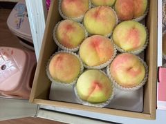 -南汇新场正宗水蜜桃采摘