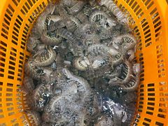 -沙田台山海鲜·酣客酒窖