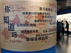 -青岛海底世界-水族馆