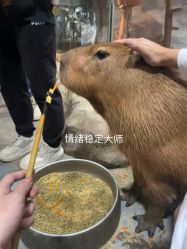 -Zoolung Zoolung动物主题公园(海信广场店)