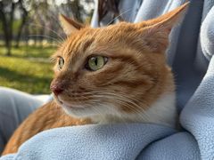 -瑞鹏宠物医院·骨科·猫科·内科(第一中心)