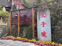 -武当山风景区-太子坡