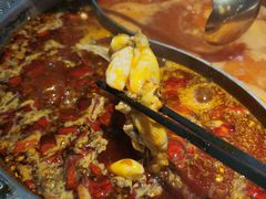 -销魂美蛙鱼头火锅(上海首店)