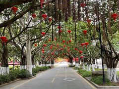-厦门大学(思明校区)