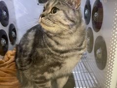 -佳雯宠物医院·皮肤科·内外科(春晓路分院)