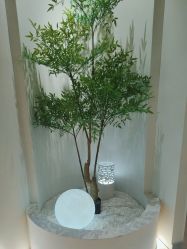 -VE小颜皮肤管理&科学美肤中心